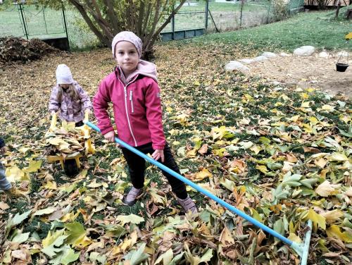 Žabičky - Podzim na zahradě