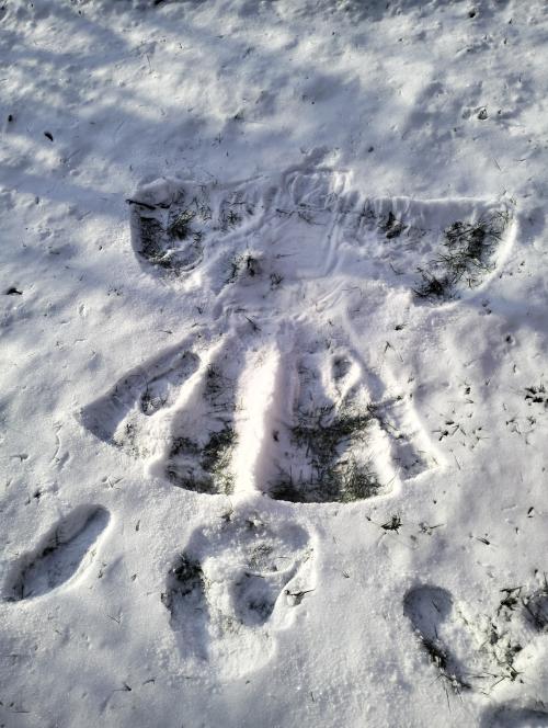 Žabičky - Po Vánocích